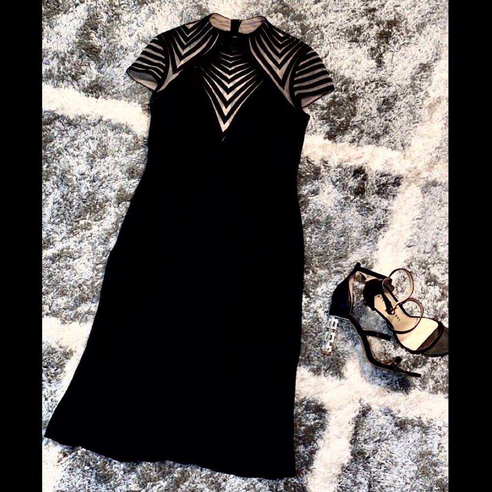 Gorgeous Betsy & Adam Mesh Evening Dress!